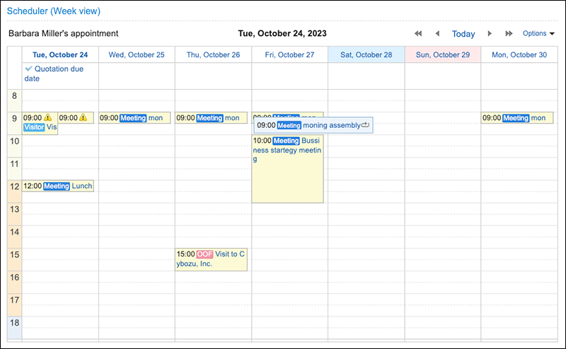Screenshot: The "Scheduler (Week View)" portlet screen