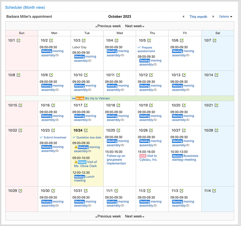 Screenshot: The "Scheduler (Month View)" portlet screen