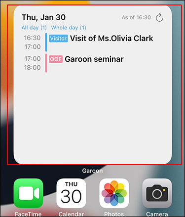 Screenshot: iPhone's home screen where the widget is displayed