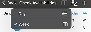Screenshot: the switching icon for the calendar views is highlighted