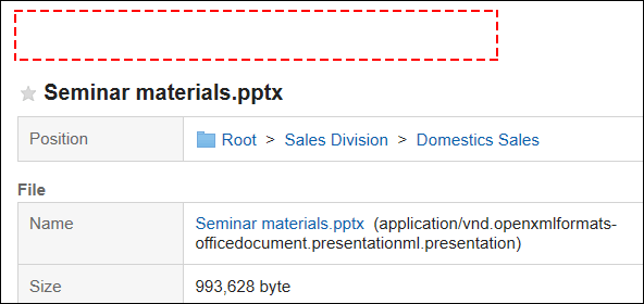 Screen capture: A link to update files is not displayed on the "File details" screen