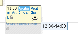 Image of moving an appointment by drag and drop