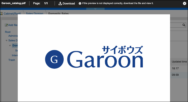 Screenshot: An example of a PDF file in the preview screen