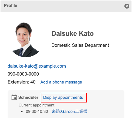 Screenshot: Profile dialog with a link to display appointments highlighted
