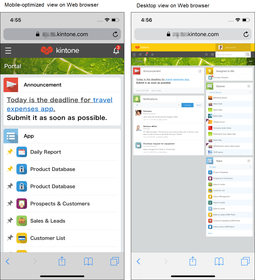 Screenshot: Comparison of the mobile-optimized view and desktop view screens on a web browser