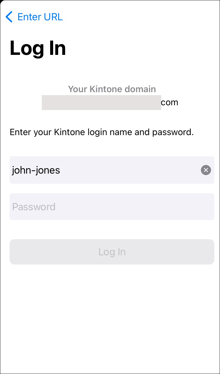 Screenshot: The screen for entering a login name and password